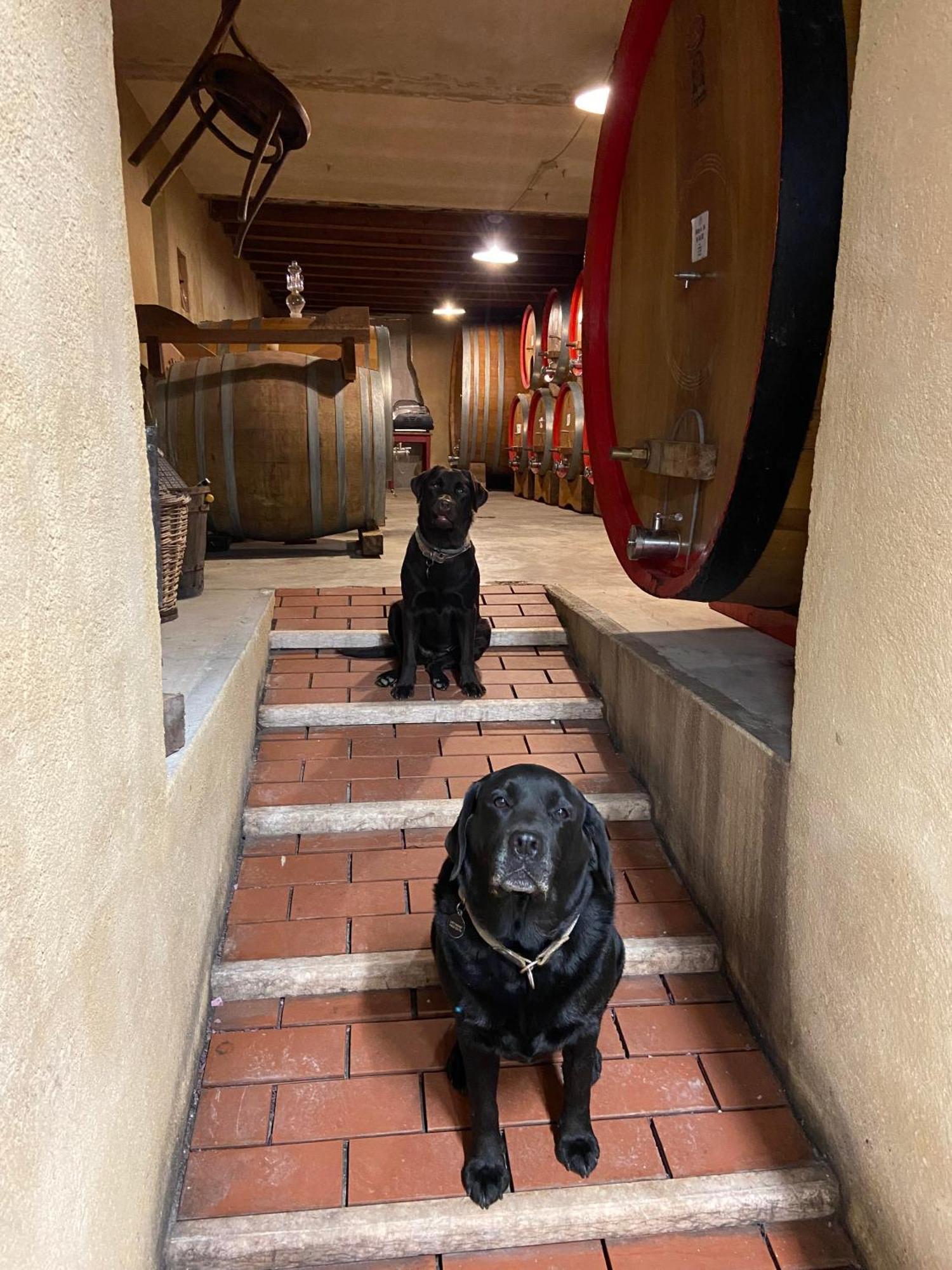 La Vineria Di San Mattia Villa Verona Buitenkant foto
