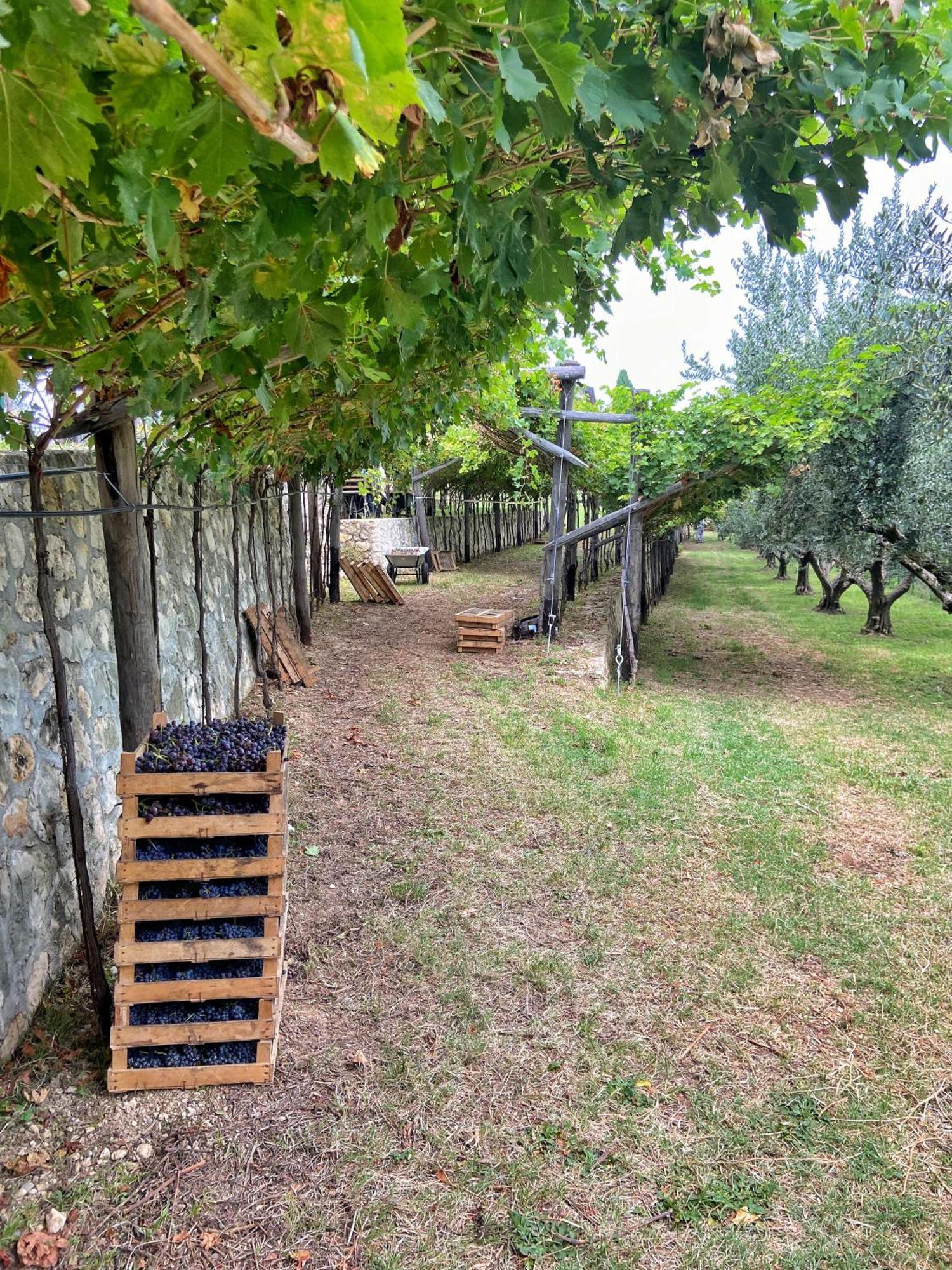 La Vineria Di San Mattia Villa Verona Buitenkant foto